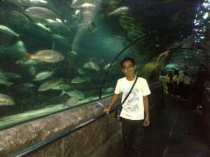 Aquarium Sea World Indonesia